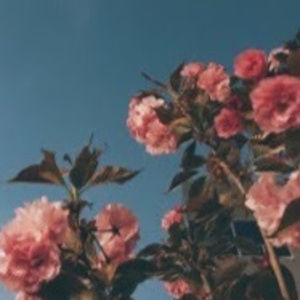 Meet your Posher, Caitlin